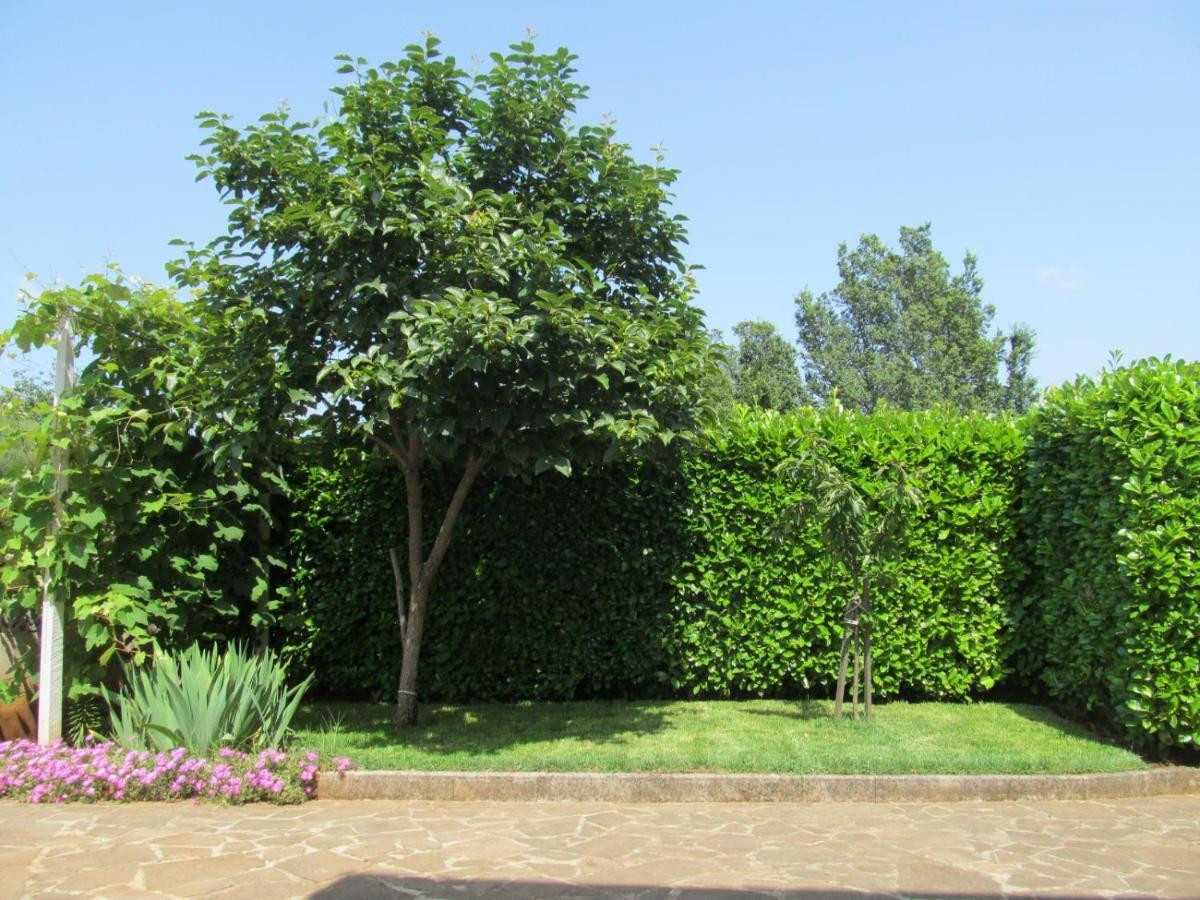 Apartments Zvezdica*** With Garden Zambratija  Exterior foto